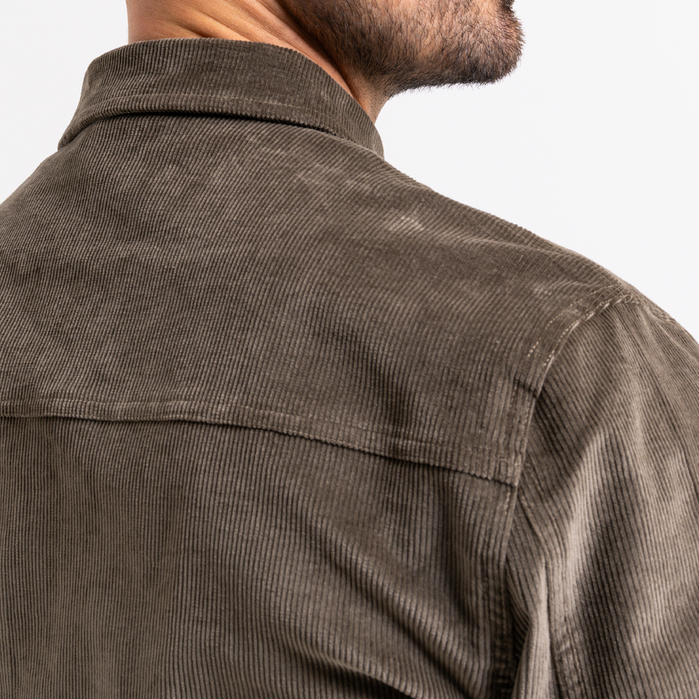 Milner Koordjas - Olijf